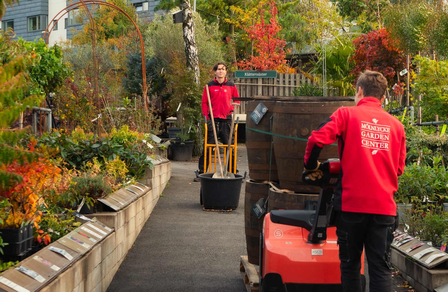 personal mölnlycke garden center